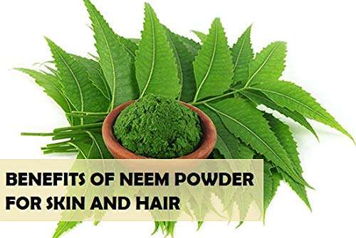 ELINA HERBAL NEEM powder (With Tulsi) & Amla Hair pack 100% Natural Organic FACE & HAIR CARE COMBO PACK (100+100) g 3