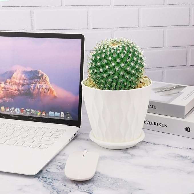 Leafly Set of 5 Multicolor Round Flower Plant Pots (6.3 Inch) with Drainage Tray | Durable Lightweight Planters for Home, Office, Terrace, Balcony & Indoor/Outdoor Gardening (White Wave) 5