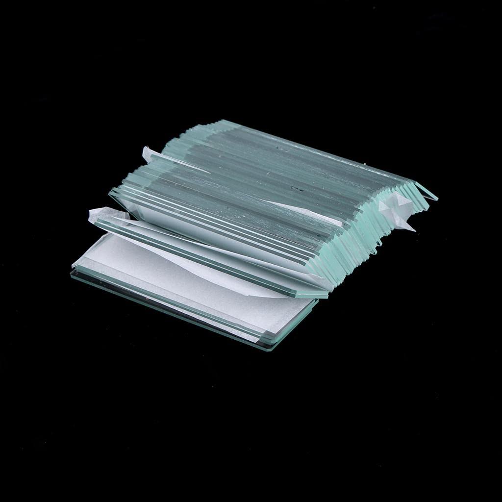 CALANDIS 50 Pieces Blank Microscope Glass Slides for Biology Experiment Supplies 6