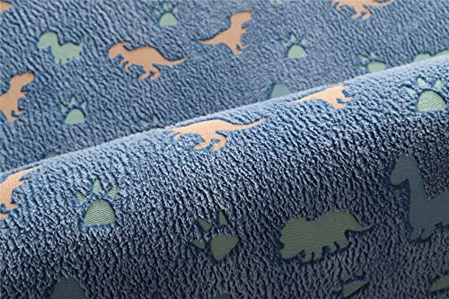 Gefosin Luminous Area Rug Glow in The Dark for Bedroom Living Room, Unique Soft Washable Modern Indoor Rugs for Children Dorm Home Decor, Blue Dinosaur 3.3x5.2 Feet 4