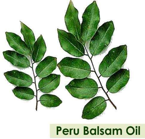 Salvia Peru Balsam Oil (Myroxylon Pereirae) 100% Pure & Natural With Dropper 30Ml 4