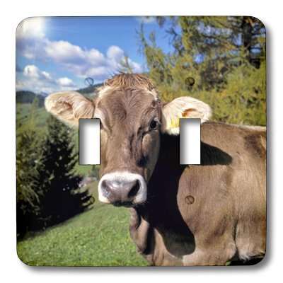 3dRose lsp_82188_2 Italy, Dolomite Alps, Swiss Brown cow EU16 RER0140 Ric Ergenbright Double Toggle Switch 3