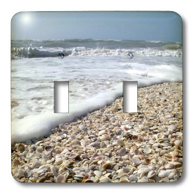 3dRose lsp_89073_2 Seashells Sanibel Island Gulf Coast Florida Us10 Dfr0166 David R Frazier Double Toggle Switch 3
