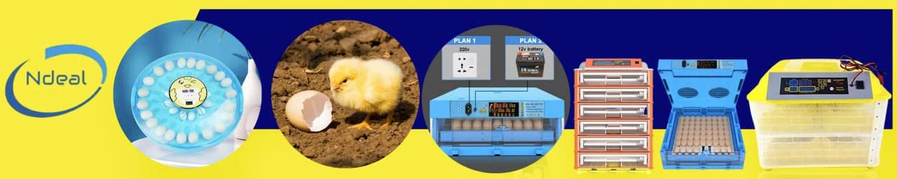 METRO Global Model ABC-D64 Made from Plastic Chickens/Ducks/Goose Egg Incubator Poultry Hatcher Brooder 64 Eggs 6