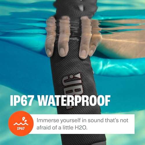 JBL Flip 6 (Gray) + Bundle with divvi! Protective Hardshell Case 5