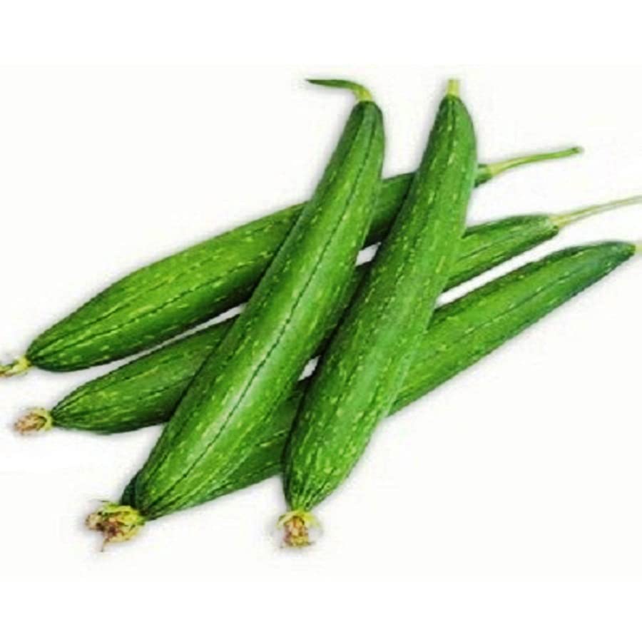 Siddhi Vinayak Gallery® Imported SPONGE GOURD WHITE R Seeds - Open Pollinated Vegetable seeds Kitchen Garden Packet ( Pack of 100 seeds/paket ) 3