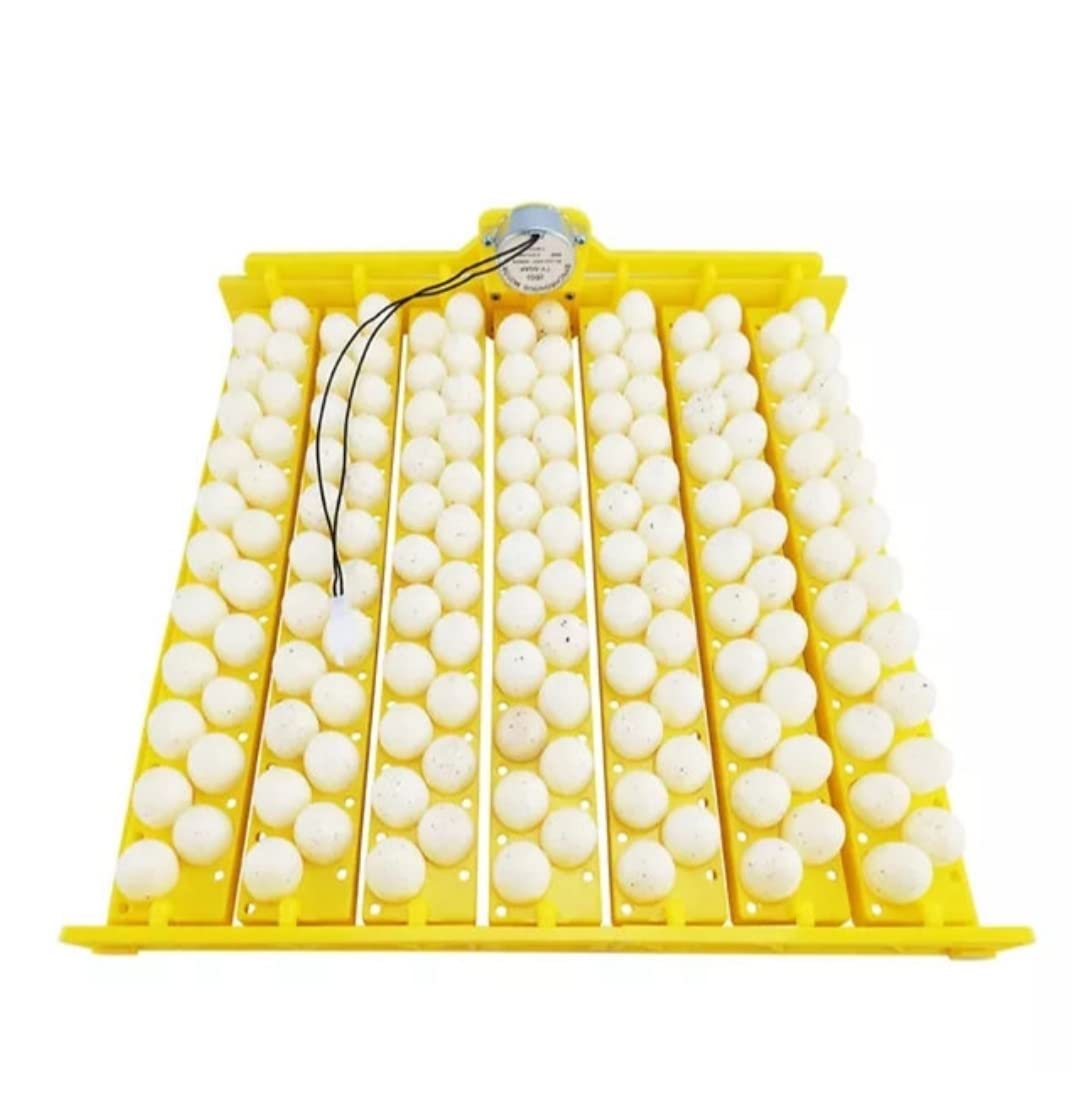 BL Electronics Automatic Incubator Egg Tray Design for 154 Quail Eggs Plastic tray set With AC220V 4W Motor 4