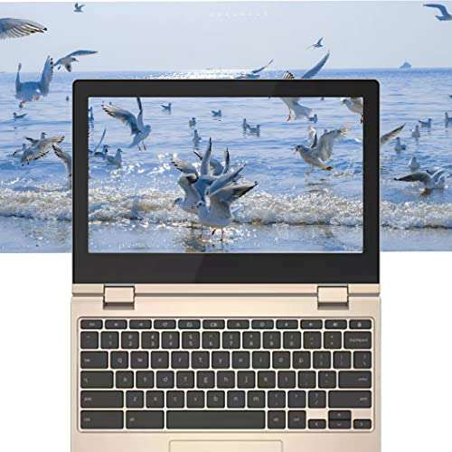 Lenovo Chromebook Flex 3 11.6" HD (1366 x 768) TouchScreen 2-in-1 Laptop, Intel Celeron N4020, 4GB DDR4, 64GB eMMC, Webcam, WiFi, Bluetooth, MicroSD Card Reader, Chrome Os, GCube 64GB Micro SD Card 3