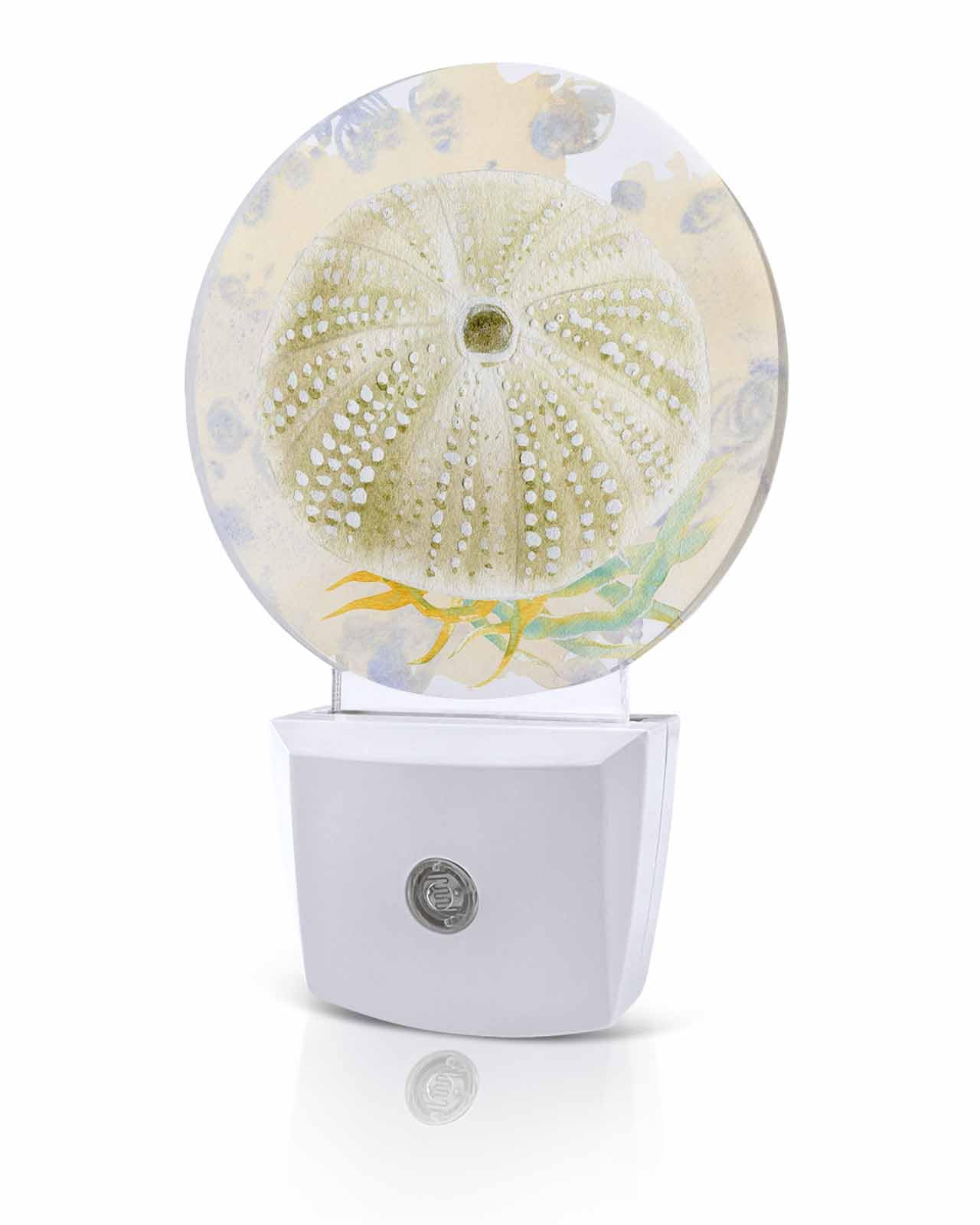 Coastal Sea Urchin LED Night Light Plug Into Wall,Vintage Watercolor Summer Beacn Sea Night Light for Kids Soft Night Lights with Dusk to Dawn Sensor Nightlight for Bedroom Bathroom Nursery Hallway