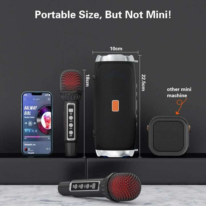 Karaoke Machine for Adult Kids, Portable Bluetooth Speaker with 2 Wireless Microphones, Singing Karaoke Player for Birthday Gift Party Family Supports TWS/Bluetooth/TF/AUX/USB 4