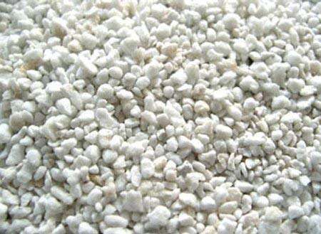 Seedlings India Exotic Rare Plants Perlite for Gardening Hydroponics Medium Horticultural Potting Soil 1 LTR 1