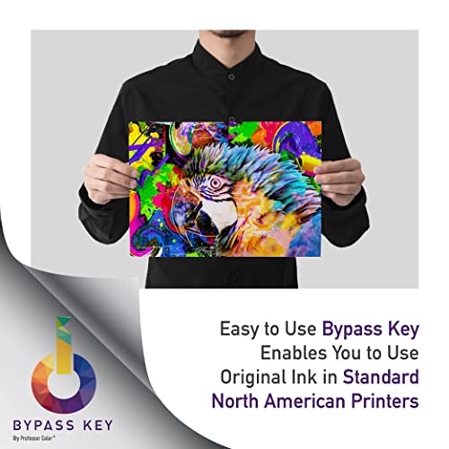 Professor Color Colorqube 8700 Ink Replaces 108R00990 108R00991 108R00992 108R00993 (8 Repackaged OEM Inks), Bundle Includes Bypass Key for use in North American Printers 4
