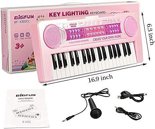 RADDIYA VINUBHAI Pink Colors 37 Key Keyboard Toy, DC Power Mode, Portable Electronic Keyboards Beginners Musical Toys Pianos, DC Power Option and Recording Function with MIC (Multi Colors) 3