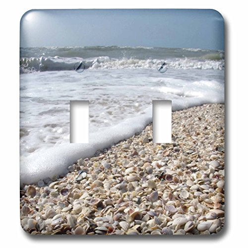 3dRose lsp_89073_2 Seashells Sanibel Island Gulf Coast Florida Us10 Dfr0166 David R Frazier Double Toggle Switch 1