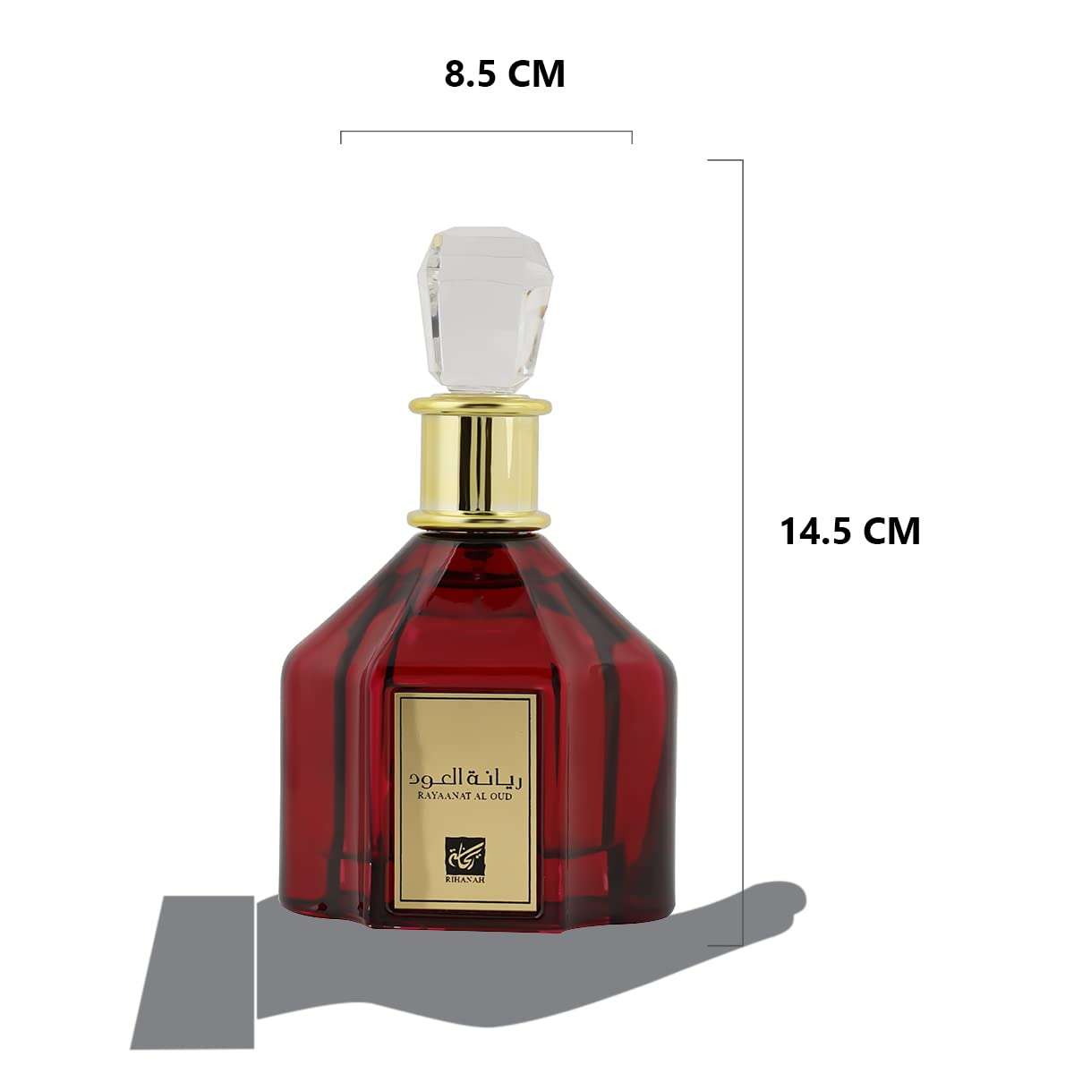 RIHANAH Rayaanat Al Oud EDP Perfume 100ml for Men 5