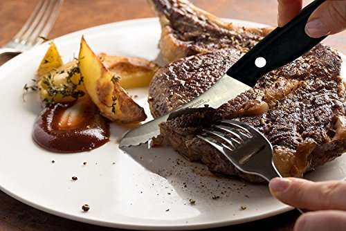 Miracle Blade IV World Class Professional Series Set of Four (4) Serrated Steak Knives 2