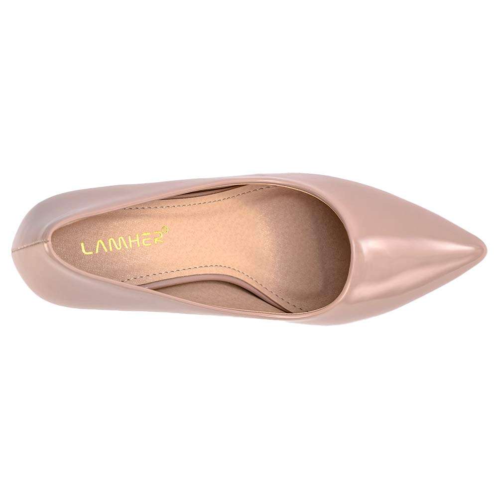 LAMHER Women's Pointed Toe High Heel Pumps Slip On Party Wedding Office Dress Stiletto Heels Shoes nude10 5