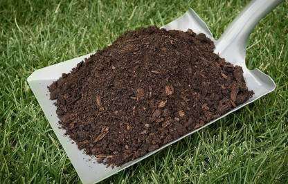 Plants Cure Cow Dung Manure 5 Kg 1