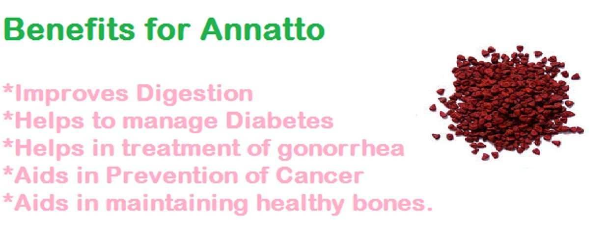 ANNATTO-BIXA ORELLANA-SEED-100 GM (4000 Seeds Per Packet) 4