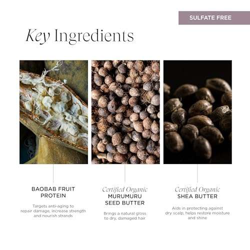 Intelligent Nutrients Fortifi-hair Shampoo, Moisturizing, Plant-Based Shampoo for Dry, Damaged Hair, Rejuvenates, Rebuilds, Vegan, 8.5 Oz 4