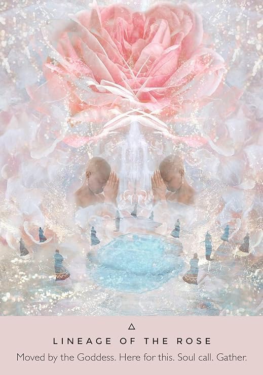 RJKD New Cards Deck 44 Pieces The Rose Oracle Tarot Cards Decks Traditional Standard Tarot Deck Fortune Telling Game Divination Tools for Beginners Adult (Style 26) 5