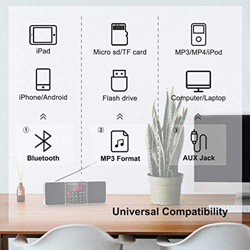 PRUNUS J-288 Portable Radio AM FM Radio with Bluetooth Speaker, Sleep Timer, Power-Saving Display, Ultra-Long Antenna, AUX Input & USB Disk & TF Card MP3 Player, NO Manual Preset 6