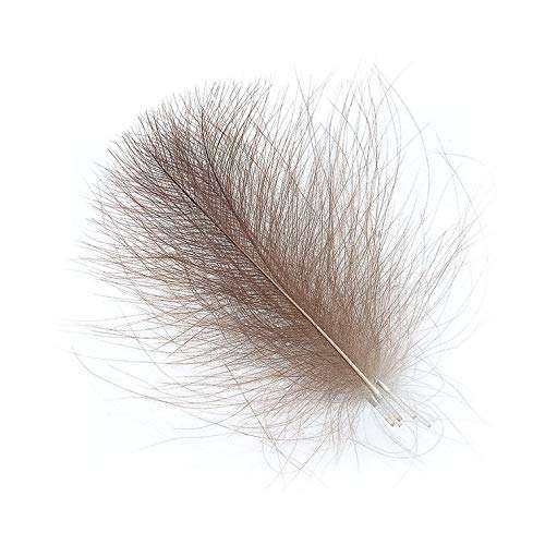 Hemingway's CDC Feathers Set of 10 4