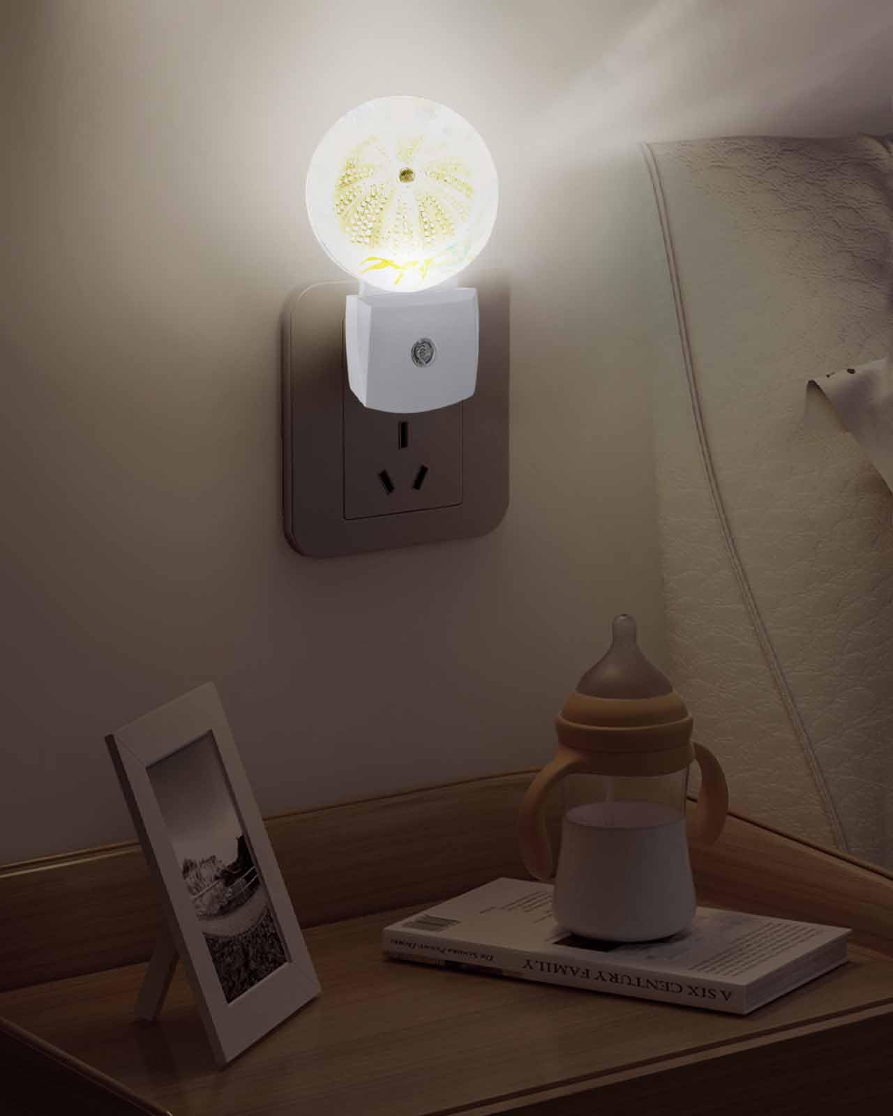 Coastal Sea Urchin LED Night Light Plug Into Wall,Vintage Watercolor Summer Beacn Sea Night Light for Kids Soft Night Lights with Dusk to Dawn Sensor Nightlight for Bedroom Bathroom Nursery Hallway 5