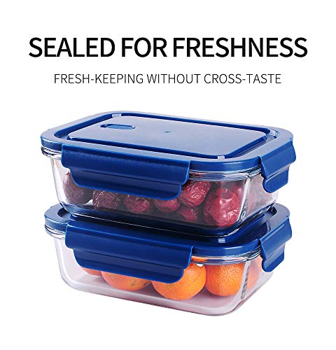 Ash & Roh® 660 ML Glass Food Storage Containers with Blue Lids, Glass Meal Prep Containers, Airtight Glass Lunch ,BPA Free & Leak Proof (1 PACK, SQUARE) 4