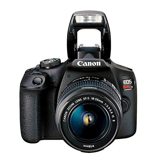 Canon EOS Rebel T7 DSLR Camera with EF-S 18-55mm f/3.5-5.6 is II Lens Plus Double Battery Tripod Cleaning Kit and Deco Gear Deluxe Case Accessory Bundle 4