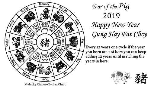 My Lucky 2019 Feng Shui 5 Elements Mirror Amulet (Pastel) Keychain 3