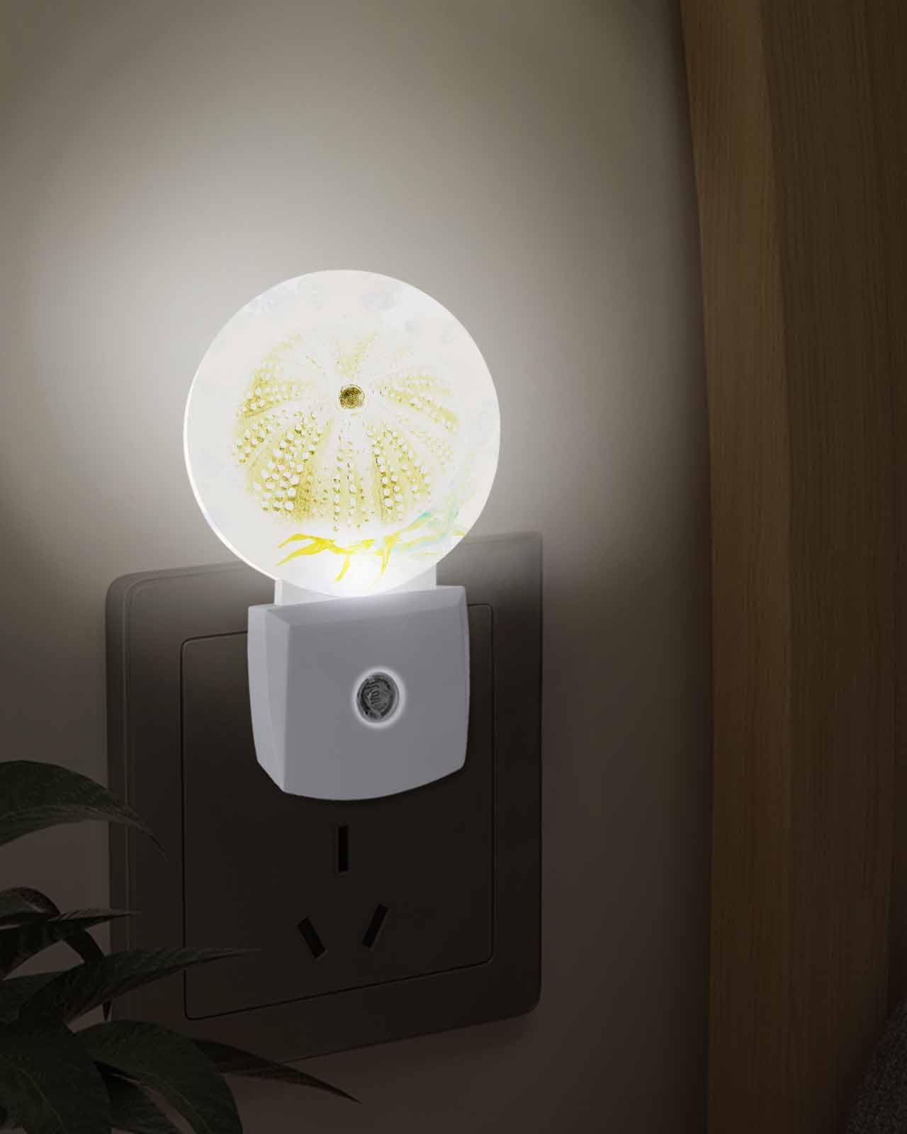 Coastal Sea Urchin LED Night Light Plug Into Wall,Vintage Watercolor Summer Beacn Sea Night Light for Kids Soft Night Lights with Dusk to Dawn Sensor Nightlight for Bedroom Bathroom Nursery Hallway 4