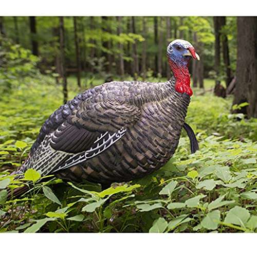 AvianX Jake Quarter Strut Decoy, Camo 3