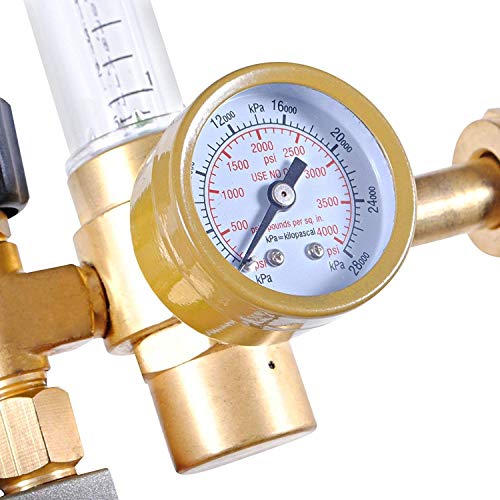 CO2 Regulator by Carbon Accelerator for C02 Tanks - Gauge for Pressure and Flow Meter with 120v Plug for Solenoid Valve for Grow Rooms, Tents, and Works with PPM Controllers and Timers 6