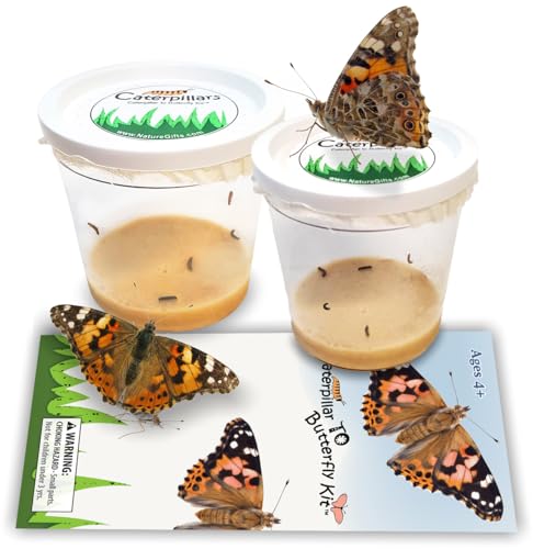 Live Butterfly Growing Complete Kit - Includes 10 Live Caterpillars - All-in-One Kit with Net Cage, Food, and Rearing Supplies - Book Bundle 5