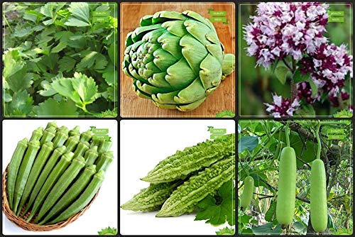 Creative Farmer Plant Seed Combo Herb Seeds and Vegetable Seeds : Bhindi (Arka Anamika), Bittergourd, Bittergourd Priyanka - White Large Spindle Fruits and Others -3 Packs