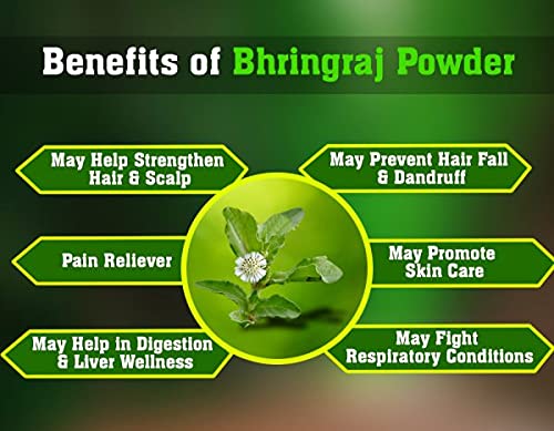 Bhringraj Powder for Hair Growth (Eclipta Alba) (900GM) 4
