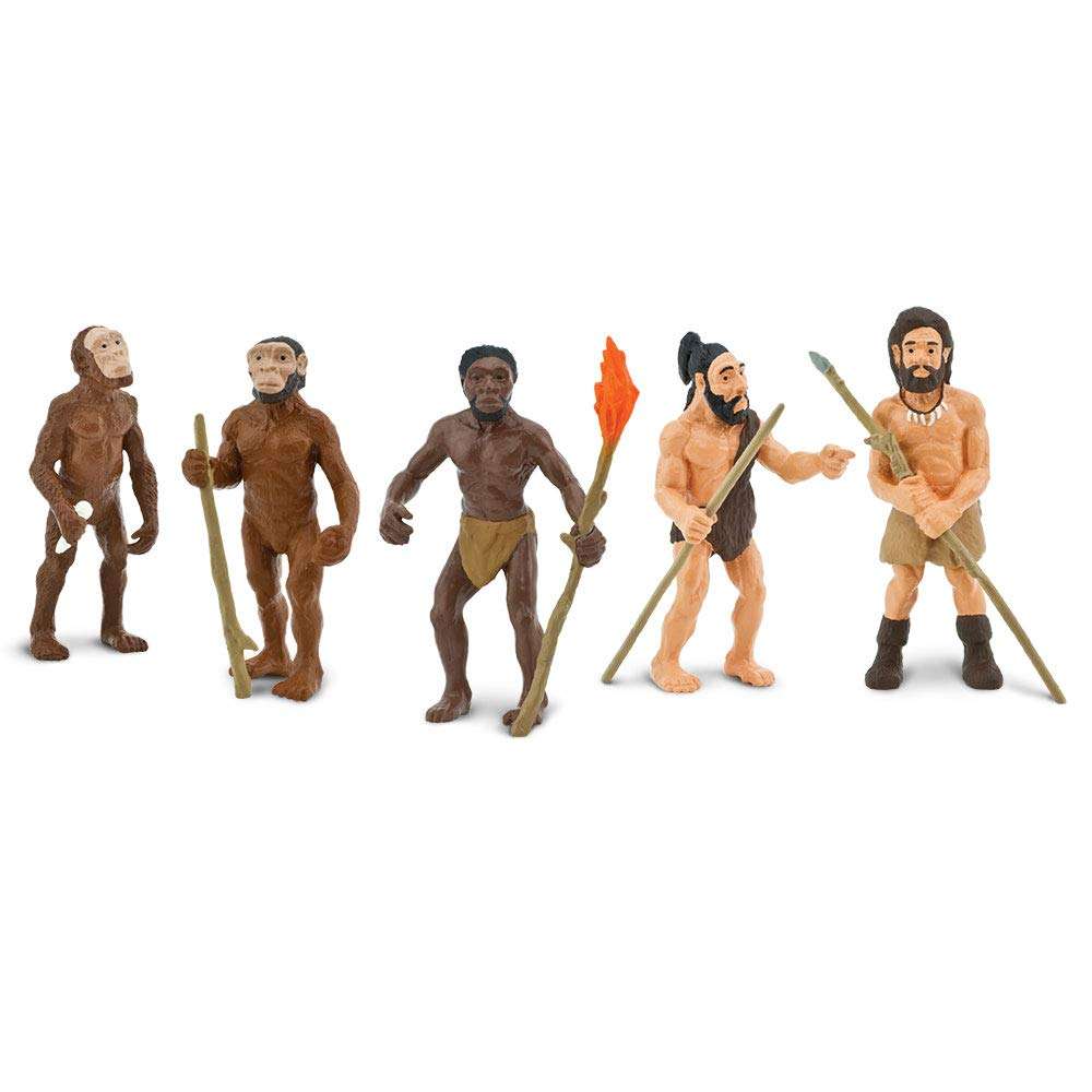 Safari Ltd. Evolution of Man Set - Detailed Educational Human Evolution Toy Figurines - Realistic Human Development Stages Collection for Boys, Girls & Kids Age 4+ 2