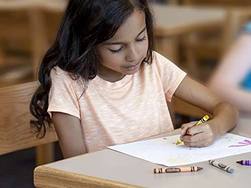 Crayola Crayons Bulk, 369 Box 4