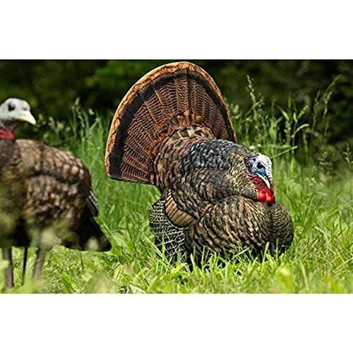 Avian-X Strutter Lifelike Collapsible Decoy LCD Folding Tom Turkey Hunting Decoy with Carrying Case, 24 Inch Stake, and Realistic Paint Detailing 6