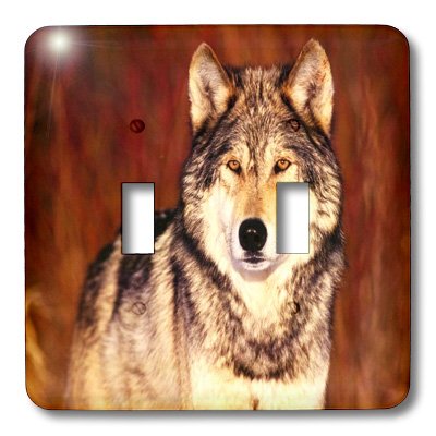 3dRose lsp_80301_2 Serious Pose of Brown Wolf Double Toggle Switch 3