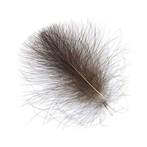 Hemingway's CDC Feathers Set of 10 5