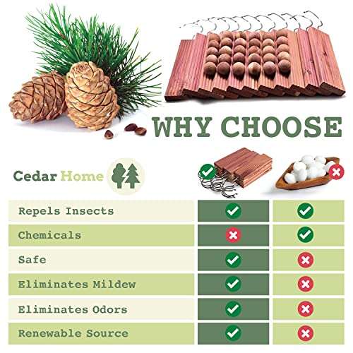 Cedar Hyde Cedar Blocks for Clothes Storage | Cedar Hang Ups & Cedar Balls | Dresser Drawer Freshener Odor Eliminator | 22 Pieces, 12 Cedar Hang Ups & Bonus 10 Cedar Balls | U.S.A Seller 2