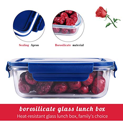 Ash & Roh® 660 ML Glass Food Storage Containers with Blue Lids, Glass Meal Prep Containers, Airtight Glass Lunch ,BPA Free & Leak Proof (1 PACK, SQUARE) 5