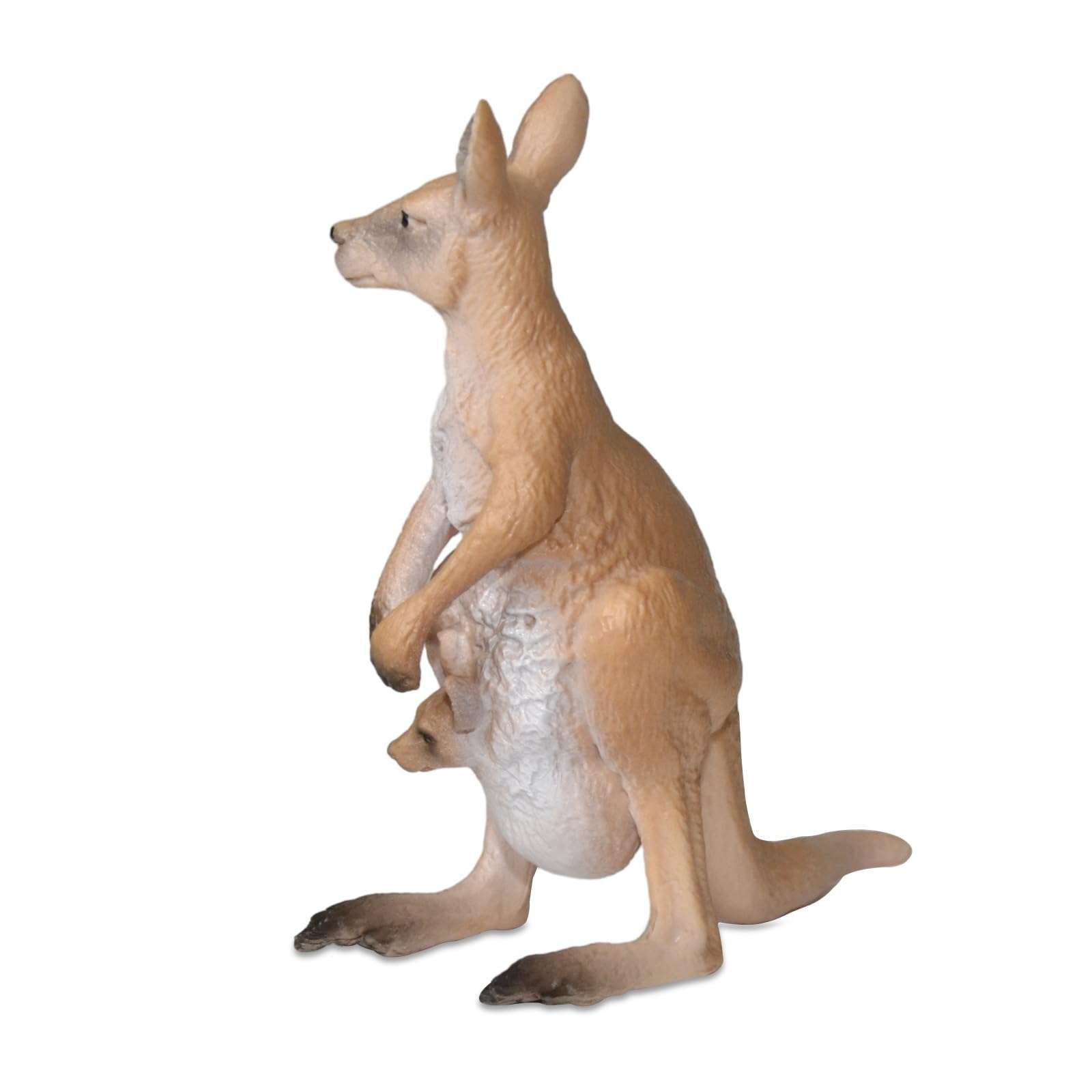 Andux Realistic Animals Figures Toys Marine Life Wild Jungle Learning Educational Playset FZDW-03 (Kangaroo) 5