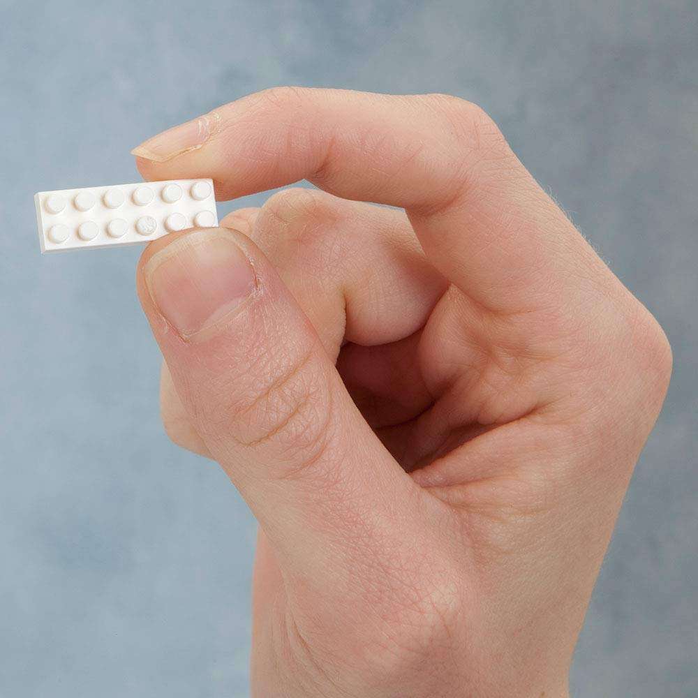 Bits and Pieces - Dog 3-D Block Puzzle - Dog Breed Building Blocks - Construction Model Set (Border Collie) 5