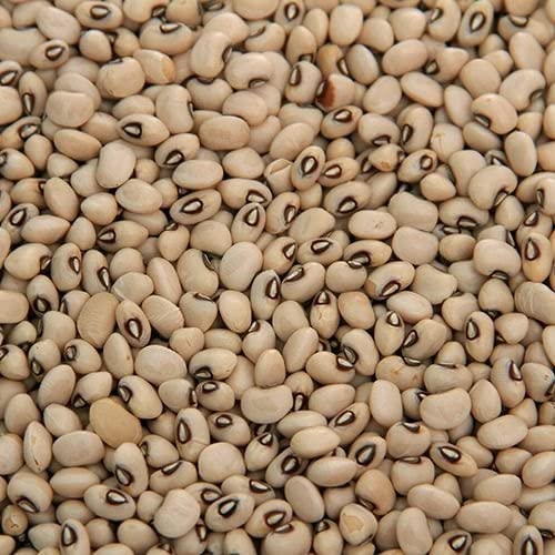 Imported Lobia Bean (Black Eyed Peas) Seed 50 SEED 4