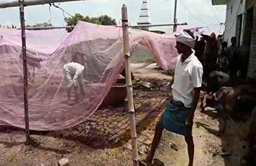 Farmer King Animal Mosquito Net - Cow Shed Machardani - Fly Disease Irritation Protection Net - Mosquito Net for Dairy Farm for Horse,Cow,Buffalo and Infant (25x20x10 FT) 2