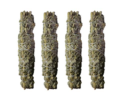 Kriti Creations Sage Bundle (Pack of 4) 1