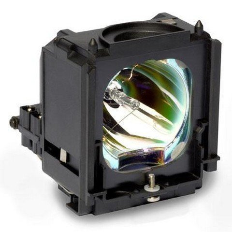 BP96-01472A Replacement Lamp in Housing for Televisions